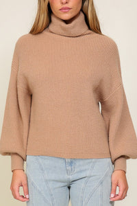 Louise Rib Knitted Turtleneck Sweater