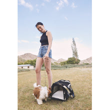 Load image into Gallery viewer, Smoke Hairon Leather Dog Bag
