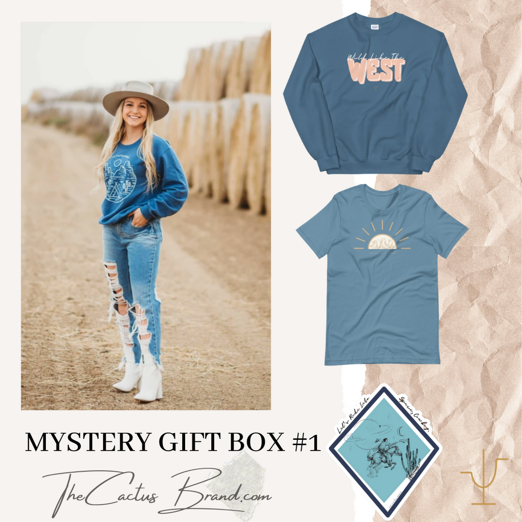 Mystery Gift Box #1