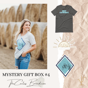 Mystery Gift Box #4