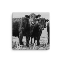 Load image into Gallery viewer, Heifer Canvas