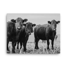 Load image into Gallery viewer, Heifer Canvas
