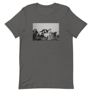 Wild Horses Unisex t-shirt