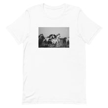 Load image into Gallery viewer, Wild Horses Unisex t-shirt